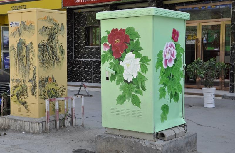 春已上线 春末夏初，西宁简直成了花的海洋！走在街头、公园、广场，处处繁花似锦。丁