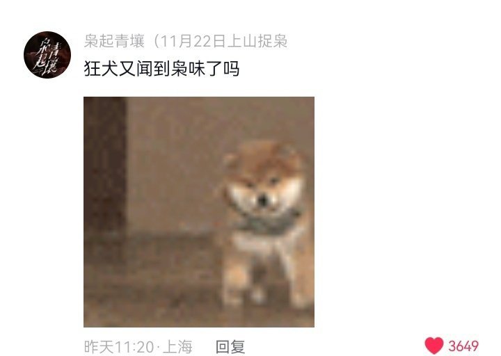 请一直保持这么活人感