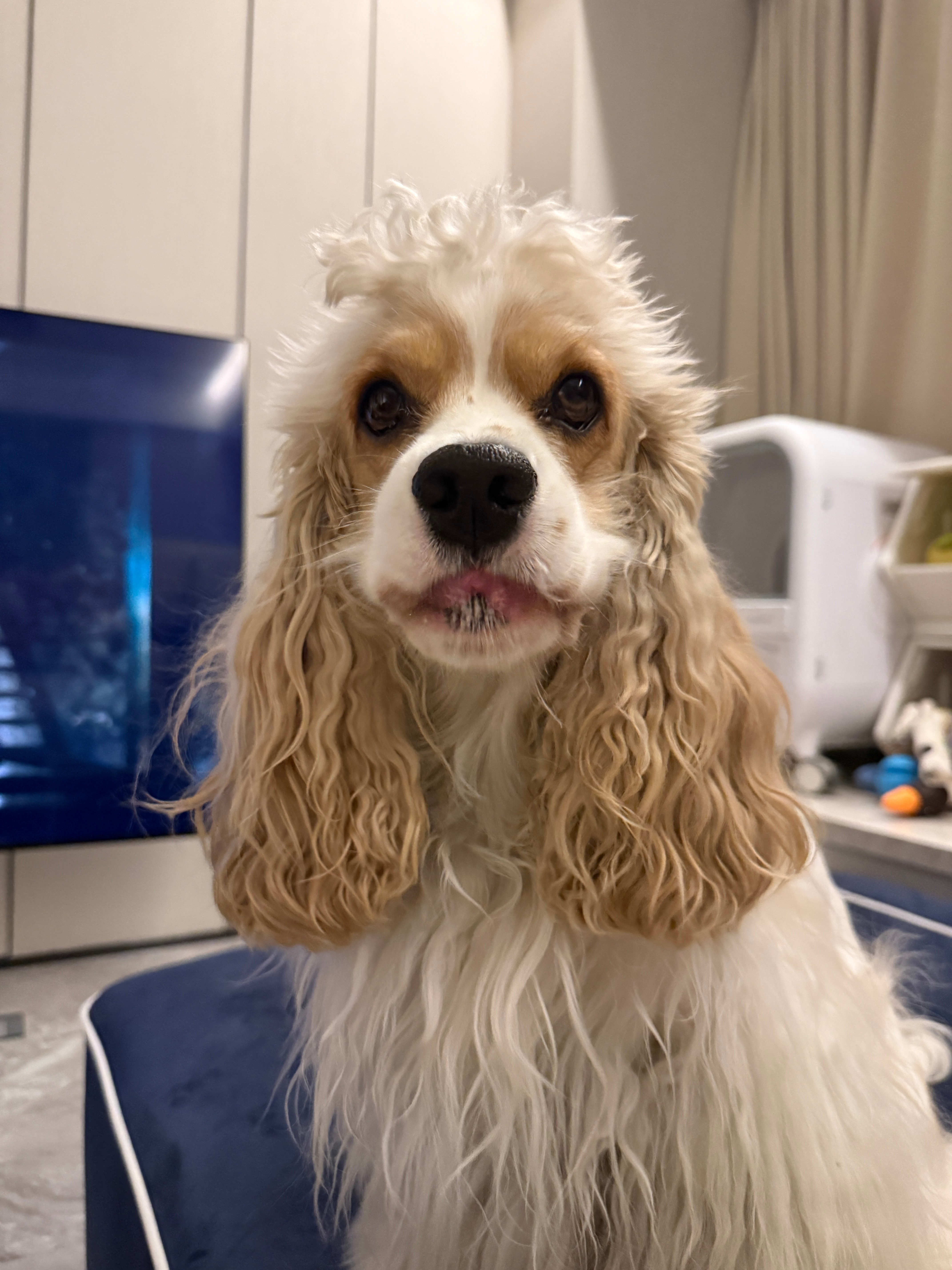 表演一个略略👅顺便分享一下最近的饮食 