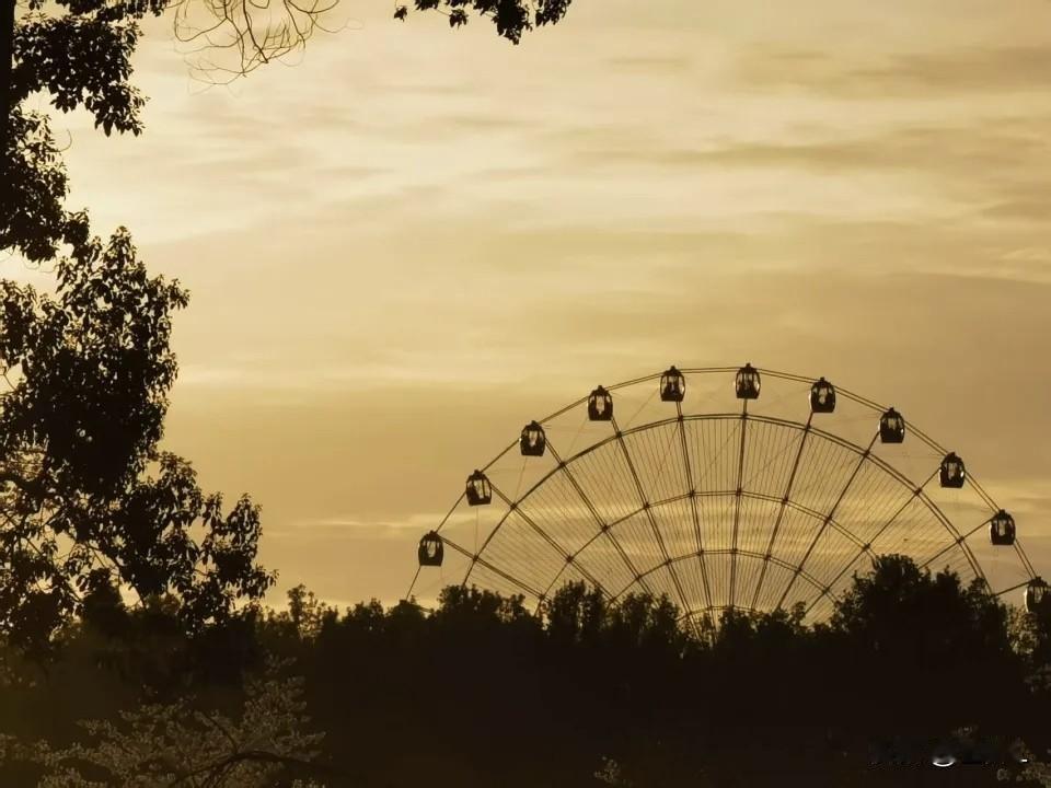 武汉的真夫妻赚翻了！夫妻俩带结婚证坐摩天轮，免费！可以带宝宝哦！

东湖之眼昨天