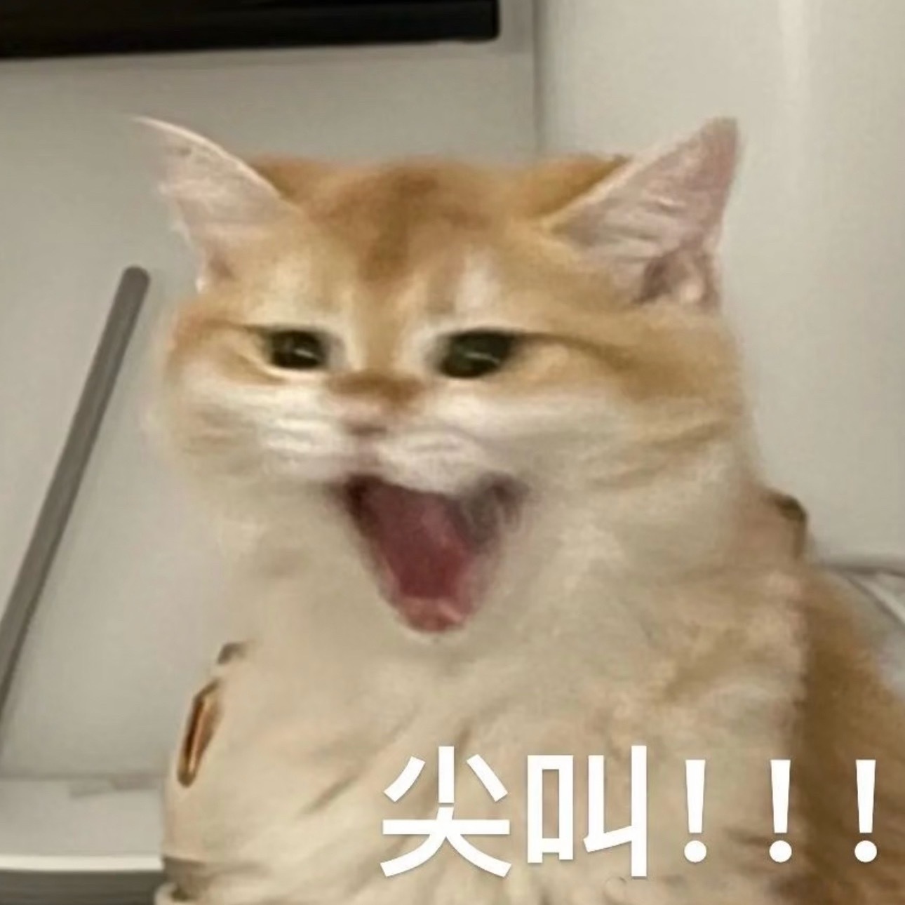 不能在喝了，在喝我成啤酒了[捂嘴哭] ​​​