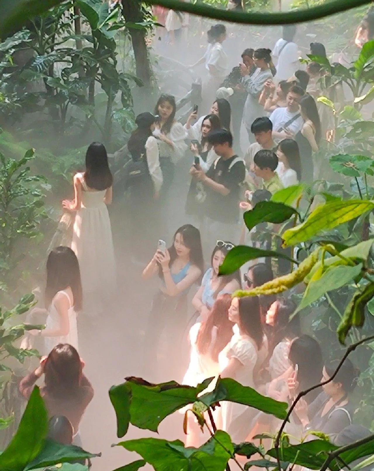 |||古代有仙女，现代也有啦，仙女们此时正在聚集开会。