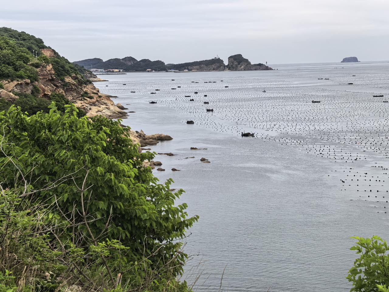 今天继续跟大家聊，旅顺口区黄泥川村海边适不适合搞旅游开发的事情。
昨天我说了，我