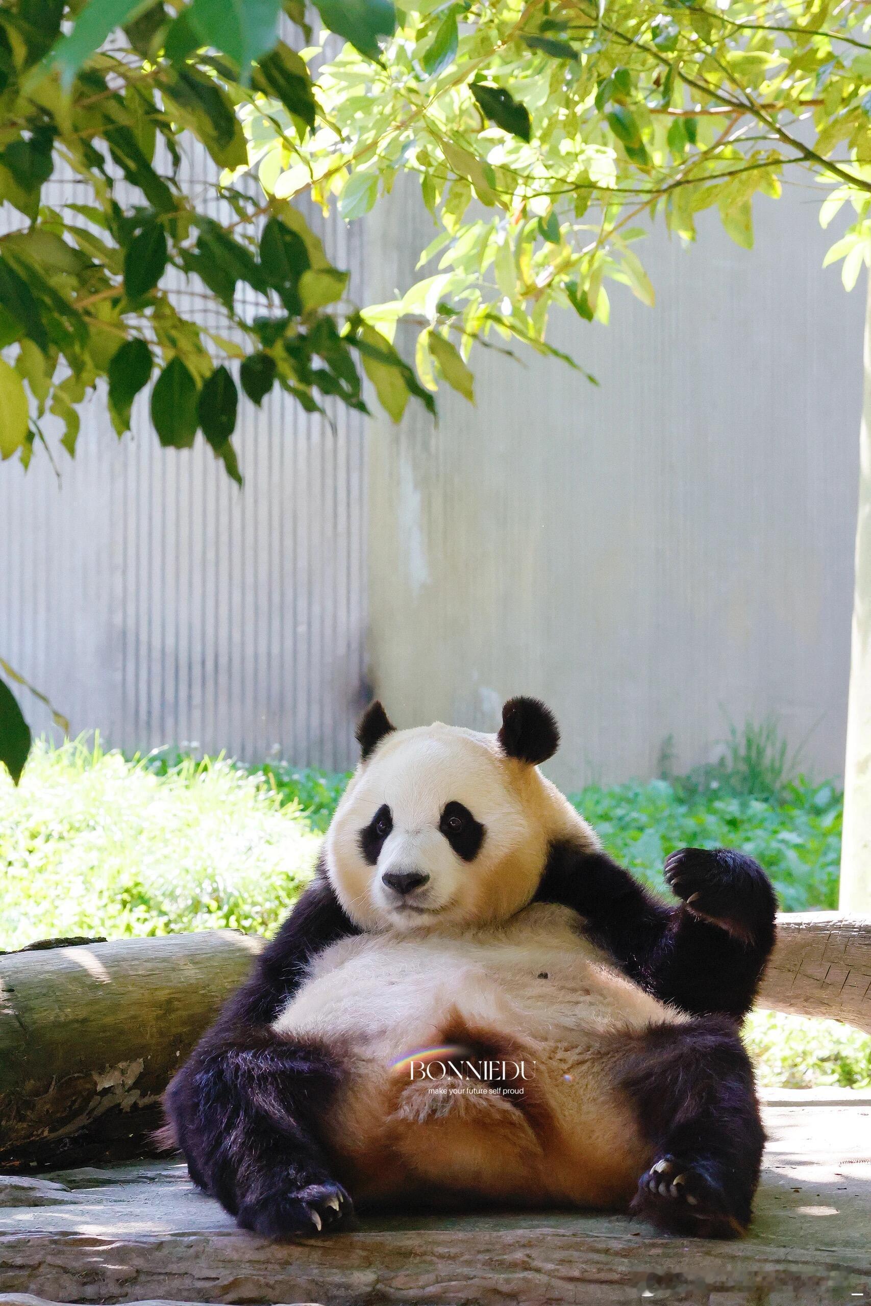 每天早起打卡早安！（我又以为打过卡了哈哈哈） 