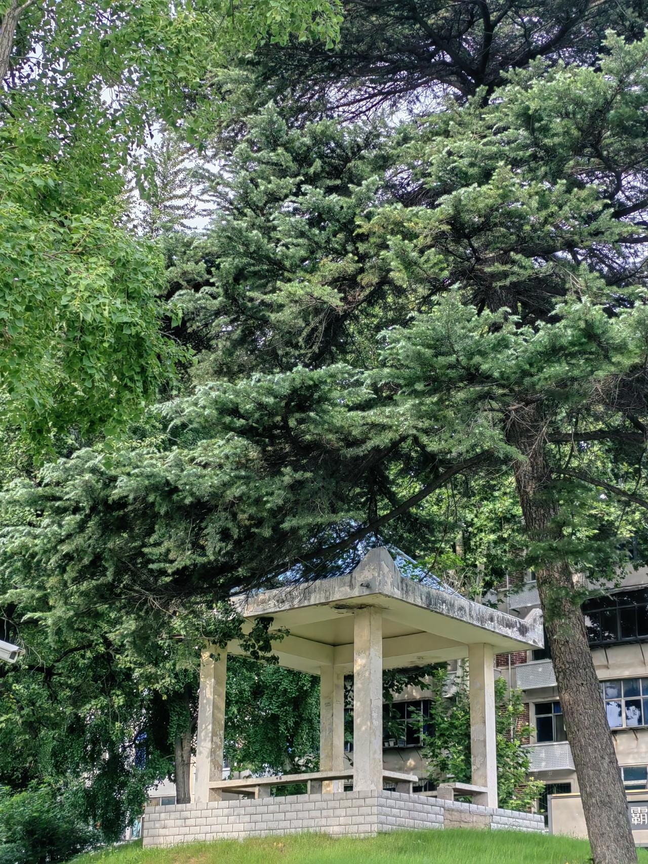 据传，衡水多所“高考中学”面临债务危机，“高考工厂”神话开始出现破灭端倪。
神话