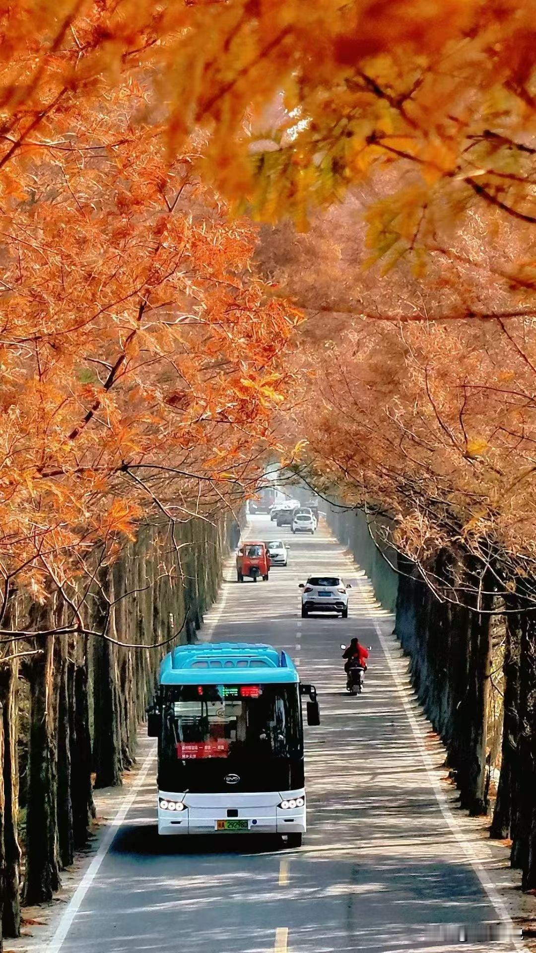 在电动车领域，内卷成了所有车企无法绕开的巨大枷锁！

中国不缺好产品，中国缺的是