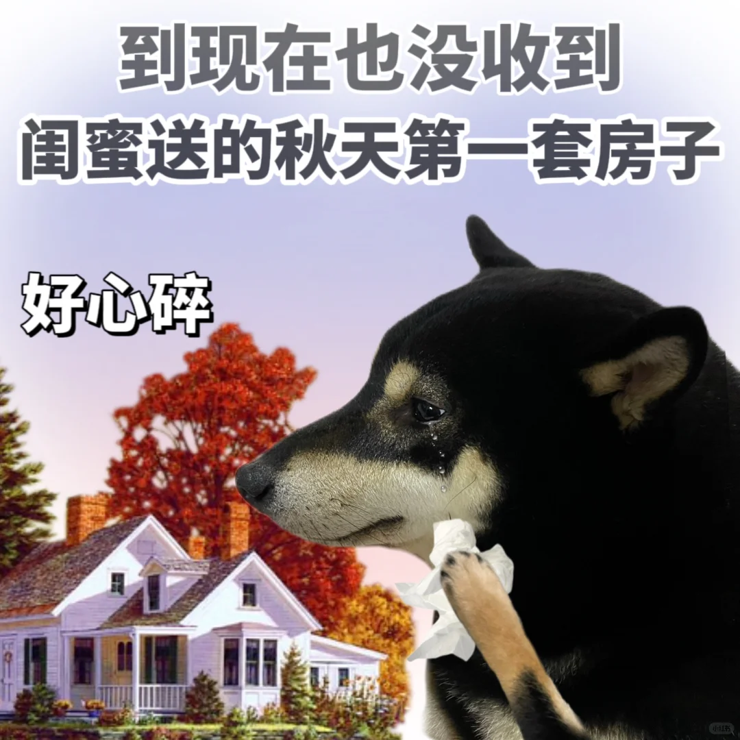 表情包|我的心好痛😣