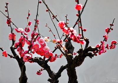 教养从不是表面功夫，藏在日常细节里才最动人
 
近期一组关于教养的生活准则在社交