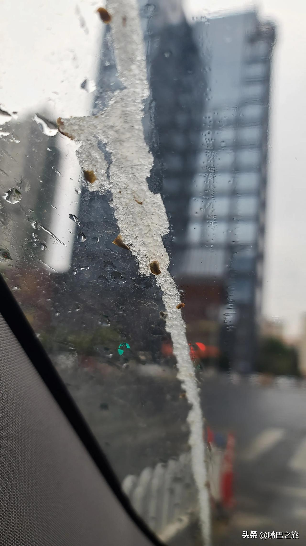 昆明，冻死在春天
那些本该酥暖的风却裹着刀刃般的寒意，将冬日的冰做了份doubl