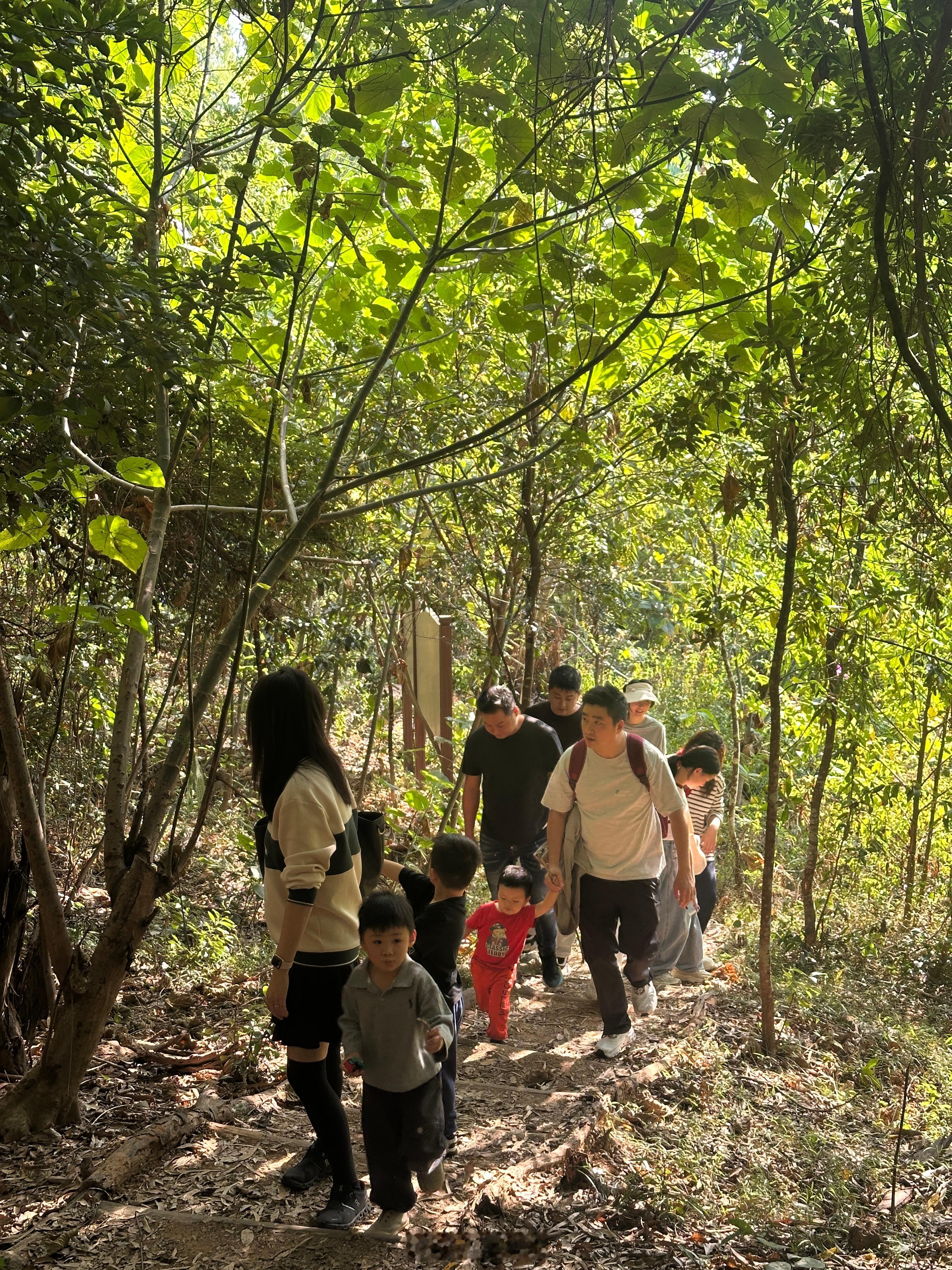 热到爆汗的冬至，吃饺子爬山，新闻主播恩泽化身生物课老师深度讲解动植物课堂。我们的
