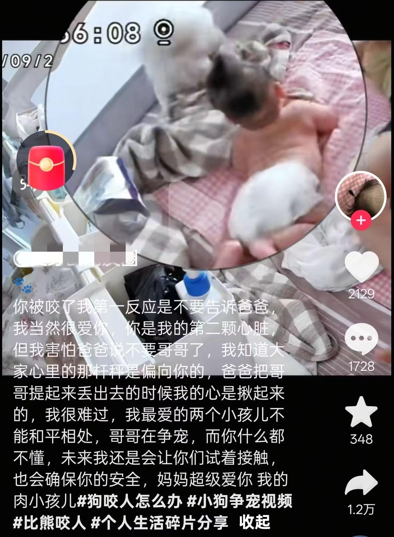 这关系有点乱！哥哥居然是家里的狗，弟弟是刚出生的小宝宝，跨物种“兄弟”！
 
更