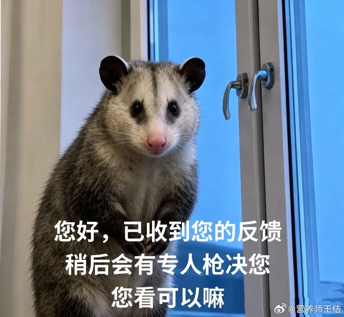 真无语了，邻居都尼玛装修七个月了，还是喜欢周末装修。昨天装空调好歹快九点才弄出噪