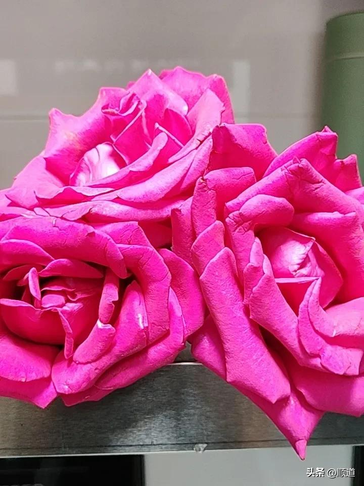 哈哈哈哈逗死我了，一个40岁男子头条上征婚，他说有的女的还侮辱他，都老登了，还征