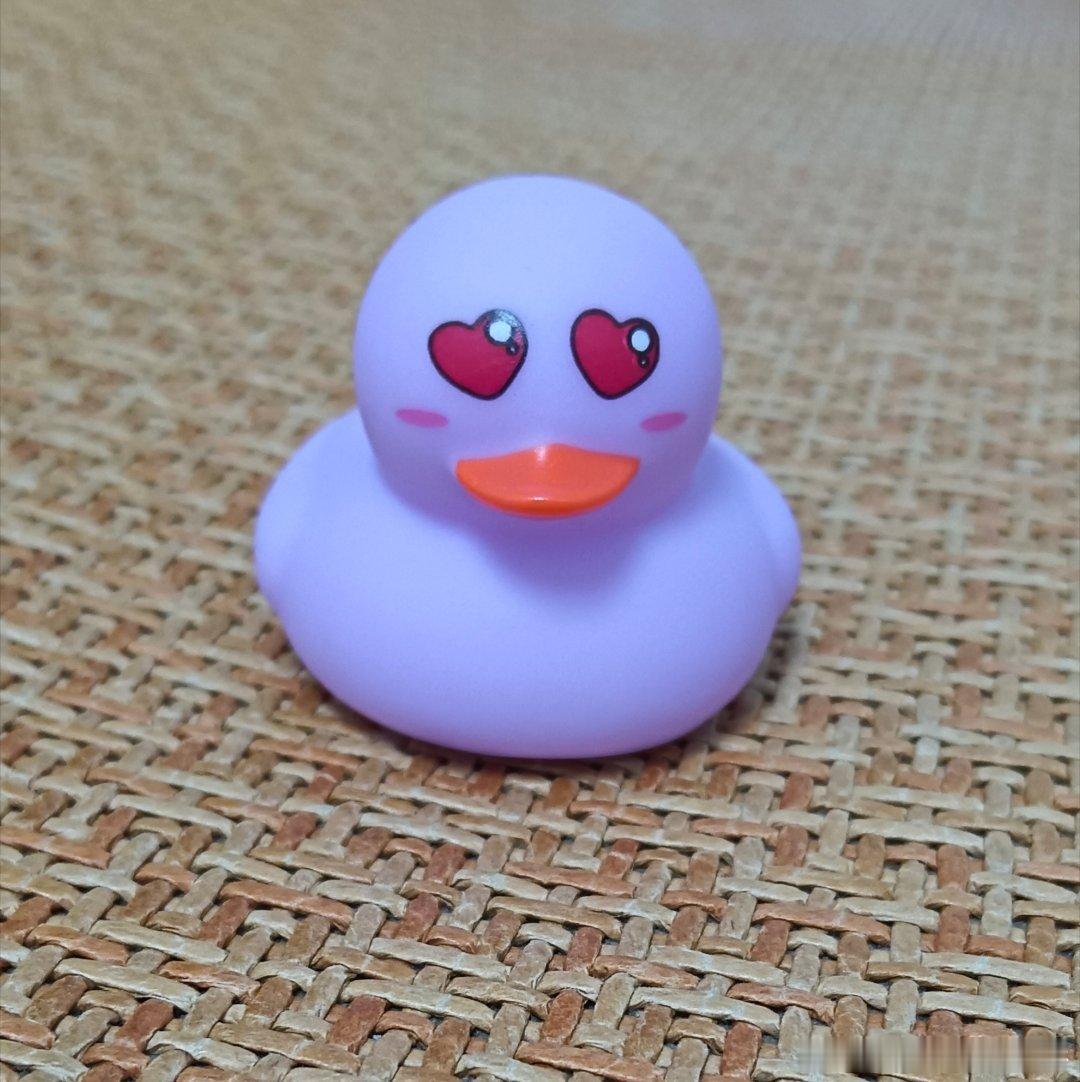 林里的鸭子越来越抽象了丑萌丑萌的 