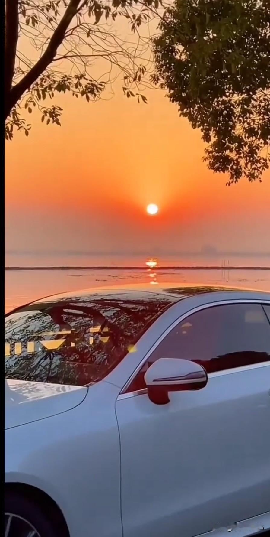 《如果可以》
如果可以
我想把风还给黄昏
把眼泪还给清晨
把未完的梦
轻轻还给年