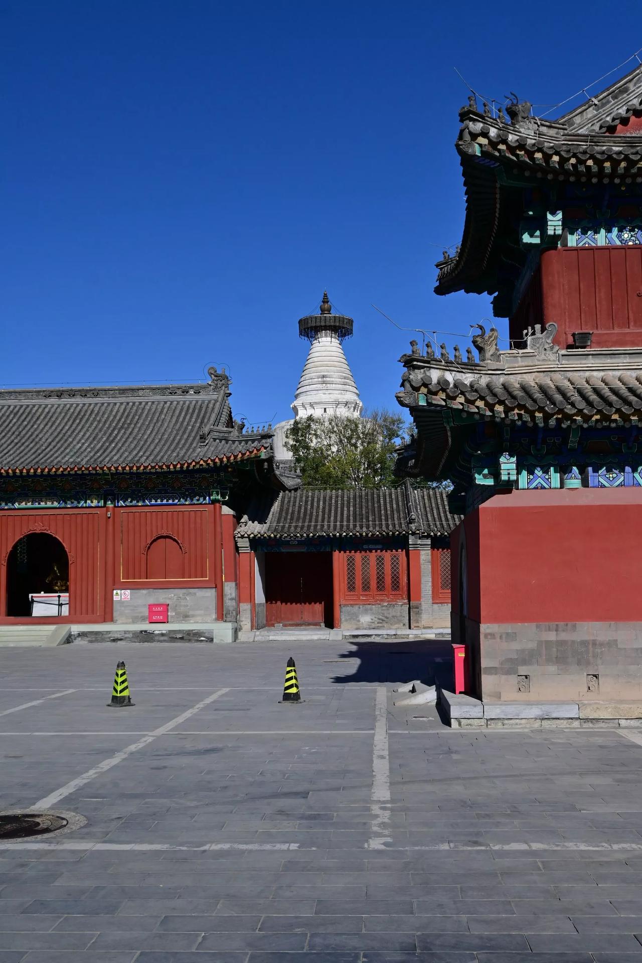 大部分人都愿意当官。这种潜在的意识是深深刻在骨子里的。
话说前段时间我们家族有成