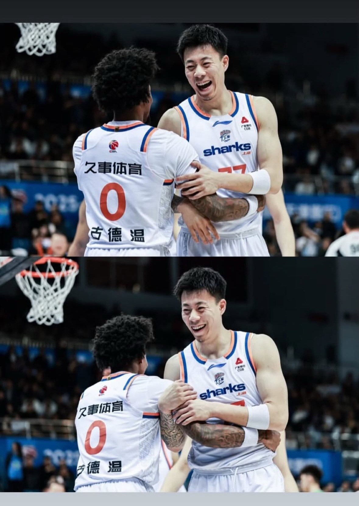 张镇麟  古德温分享自己和金金的照片上海久事大鲨鱼