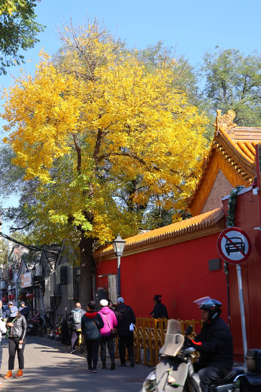 10.20实况，北锣鼓巷将成为北京本周赏秋最佳