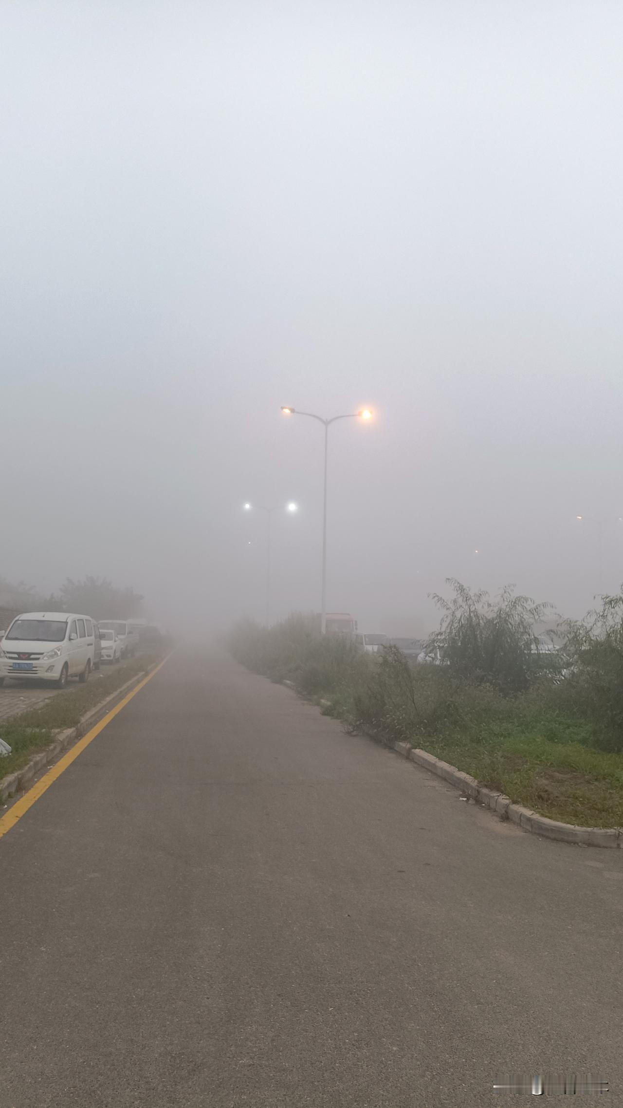 秋日生活打卡季今日大雾，古都变雾都！