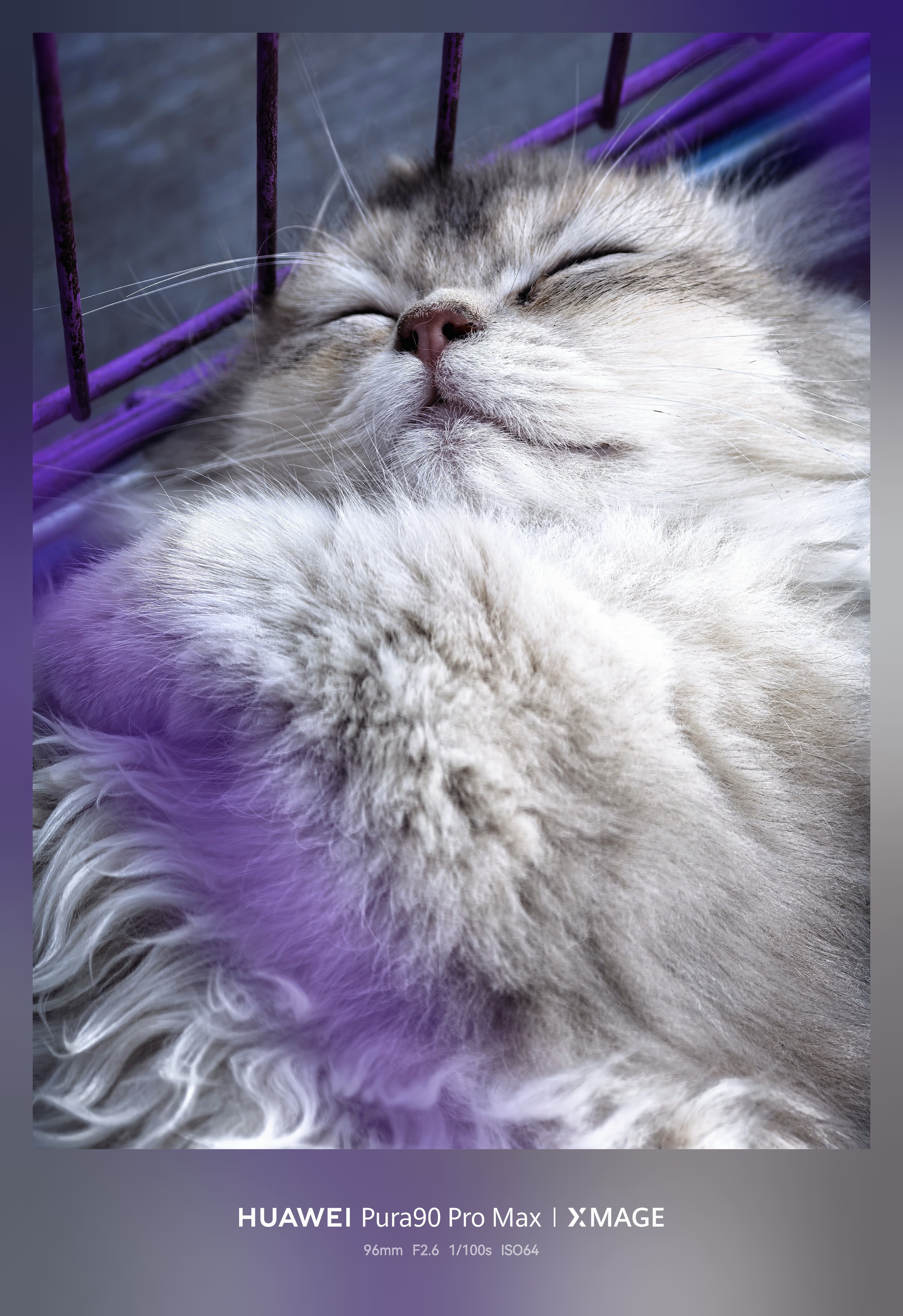 别睡了，赶紧起来挣猫条[怒][怒][怒] ​​​