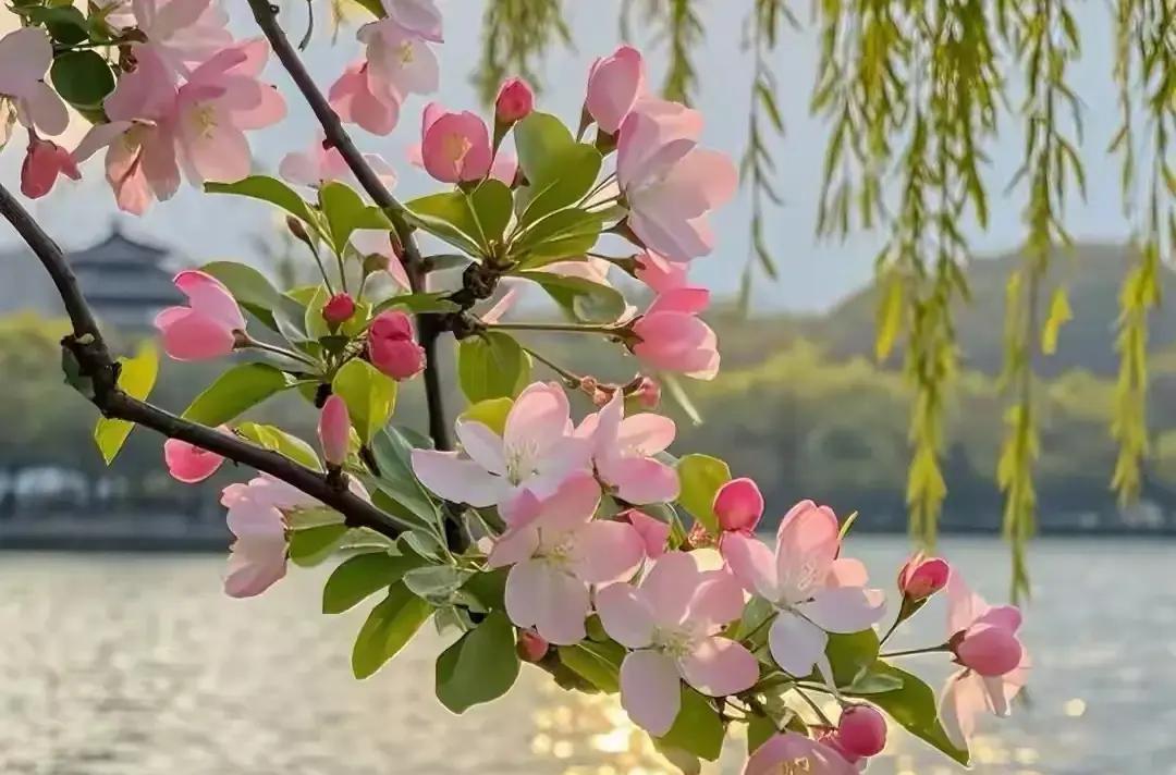 很多中年夫妻回家后，男人刚想瘫沙发刷手机，老婆三秒钟内就开启“任务模式”：垃圾还