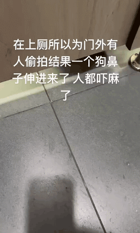 意不意外，惊不惊喜！ ​​​
