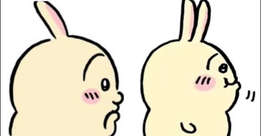 你们不要再笑乌了……这是乌整过的…… ​​​