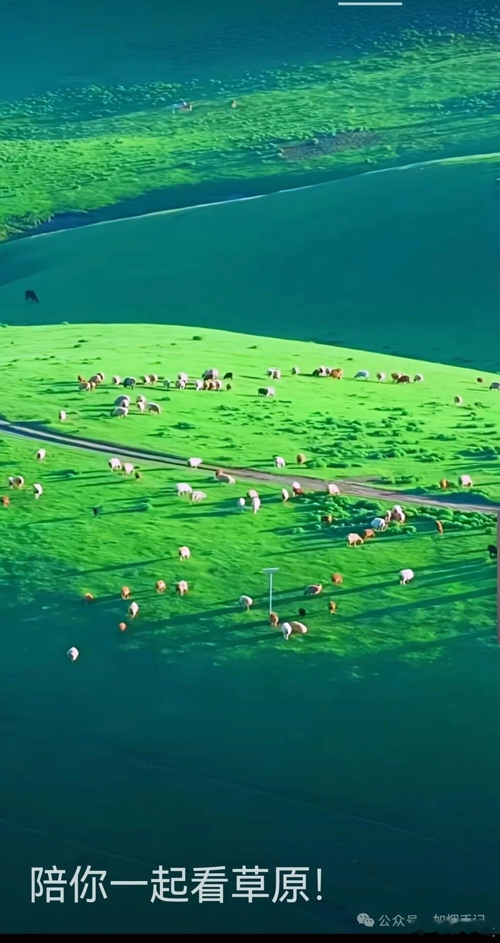剑与梦——评美伊伊斯兰堡谈判为何？——战争的悖论与谈判的虚妄美伊双方在伊斯兰堡谈