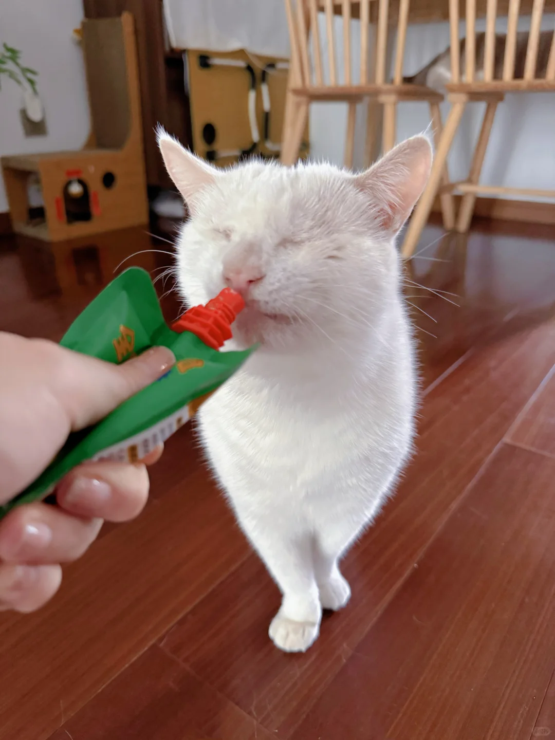 吃零嘴也要站丁字步的好宝宝