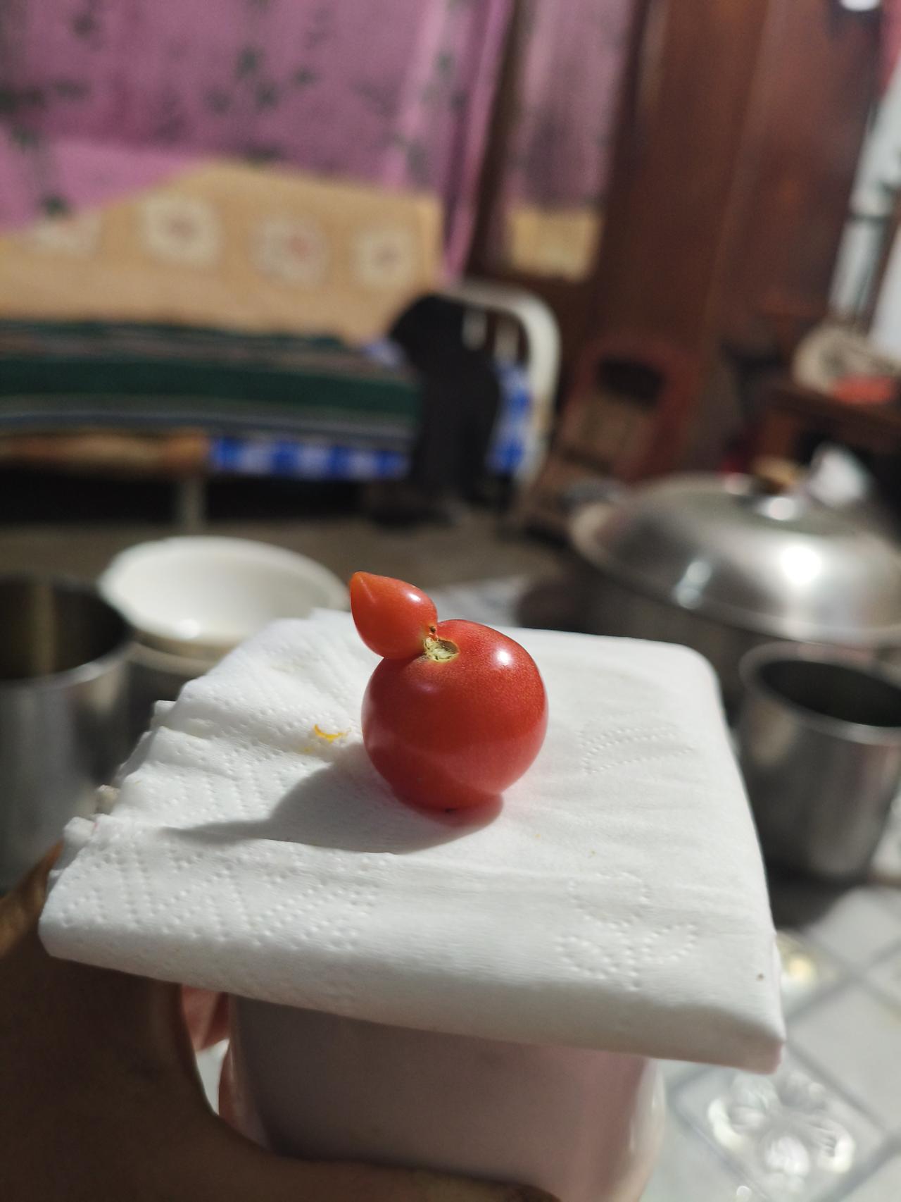 自己的小菜园里长出来的小西红柿，远看小乌龟似的！
分享一下！