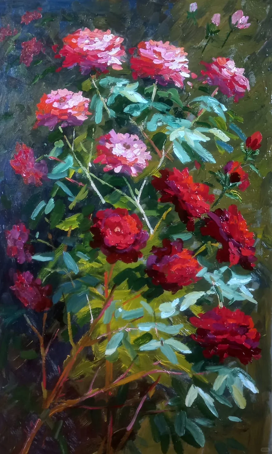 马大师作品50/80