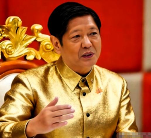 菲律宾最高法院这次终于干了件人事儿！

12月6日正式作出判决，要求当局把从菲律