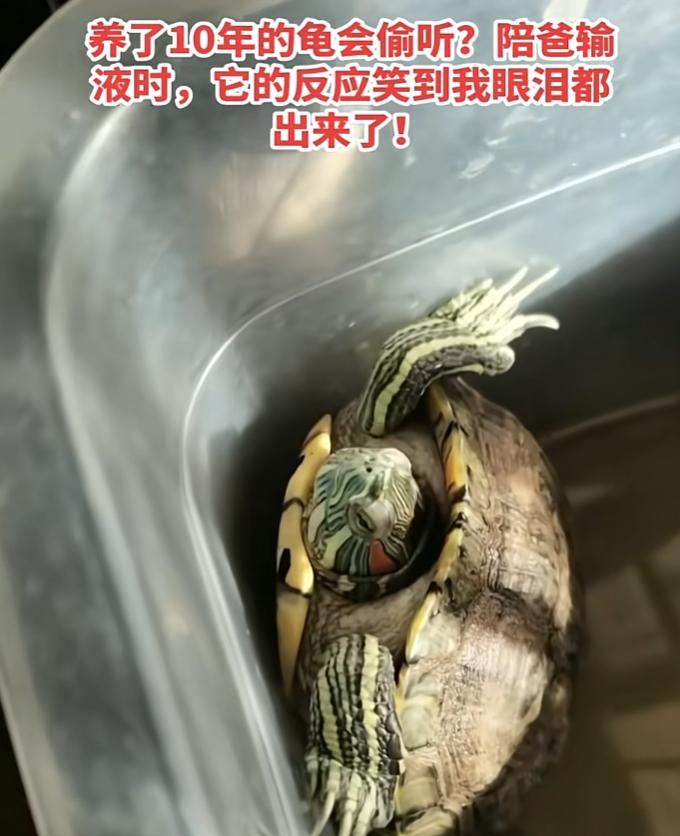 近日江苏宿迁，女儿陪83岁的父亲在家中输液，跟父亲讲着听到的新鲜事哄老父亲开心，