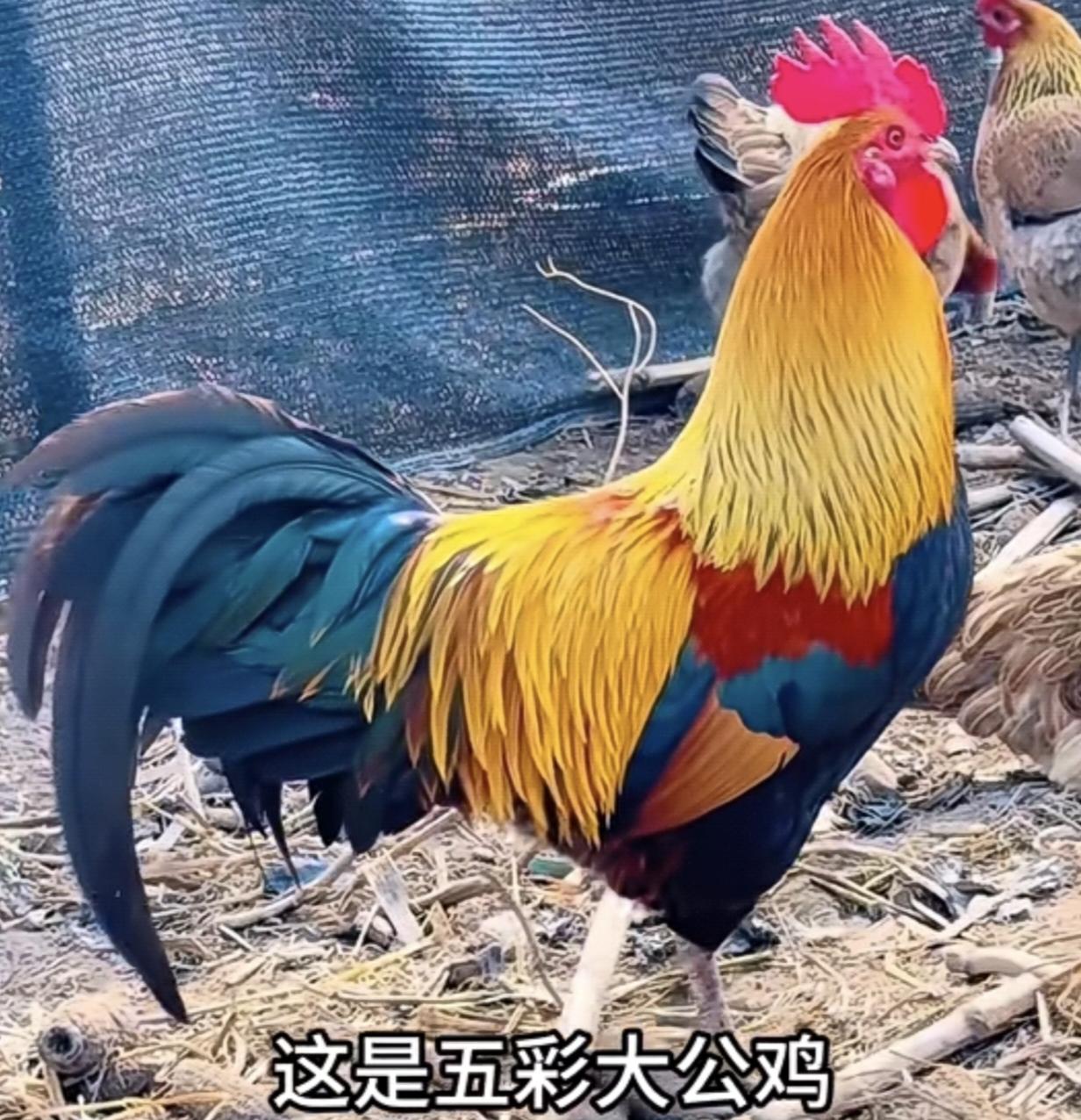 你觉得现在的“份子钱”是不是变味了它随着经济的发展、个人的经济收入高低和人员关系