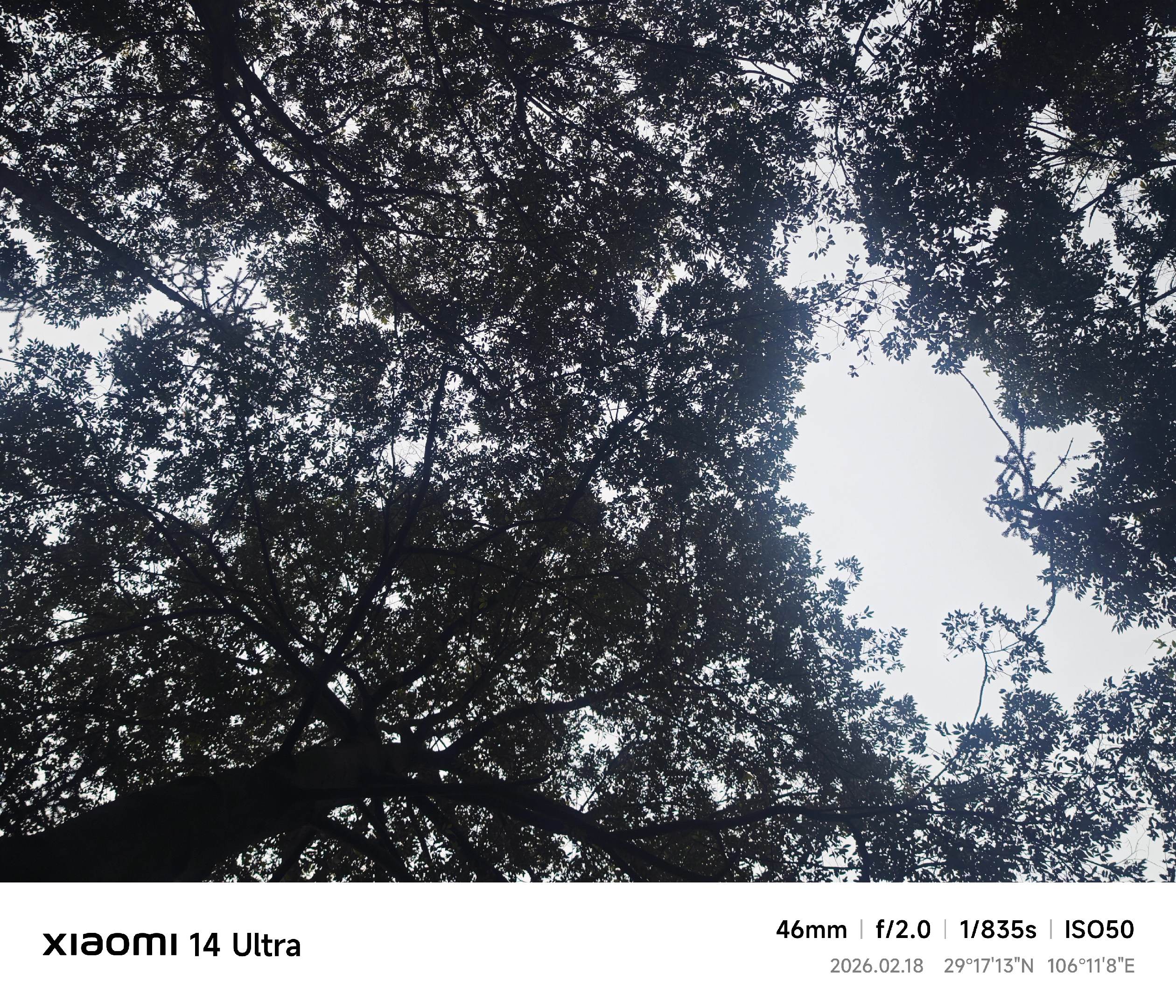 再听一遍武家坡，愿我们前路无坎坷