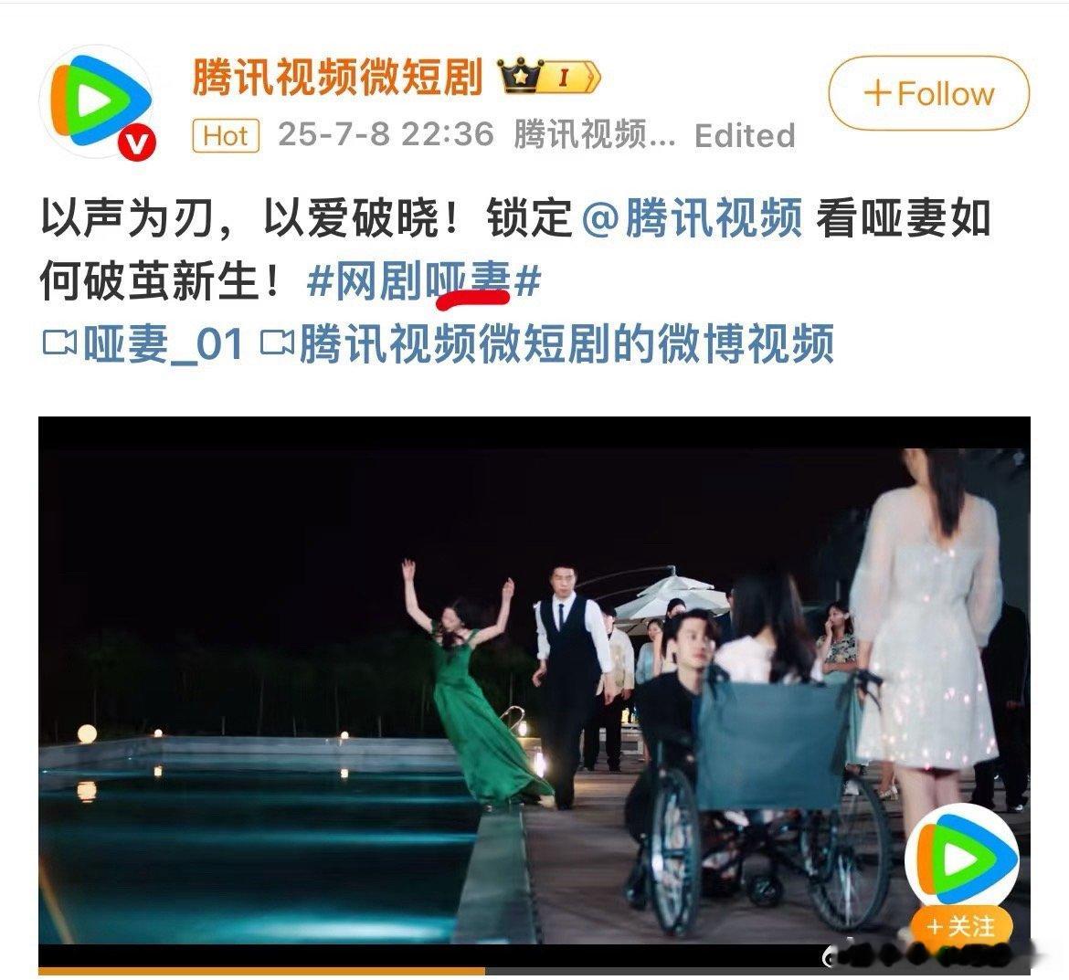 🐧：都乱成一锅粥了[喵喵]干脆大家趁热喝了吧 ​​​