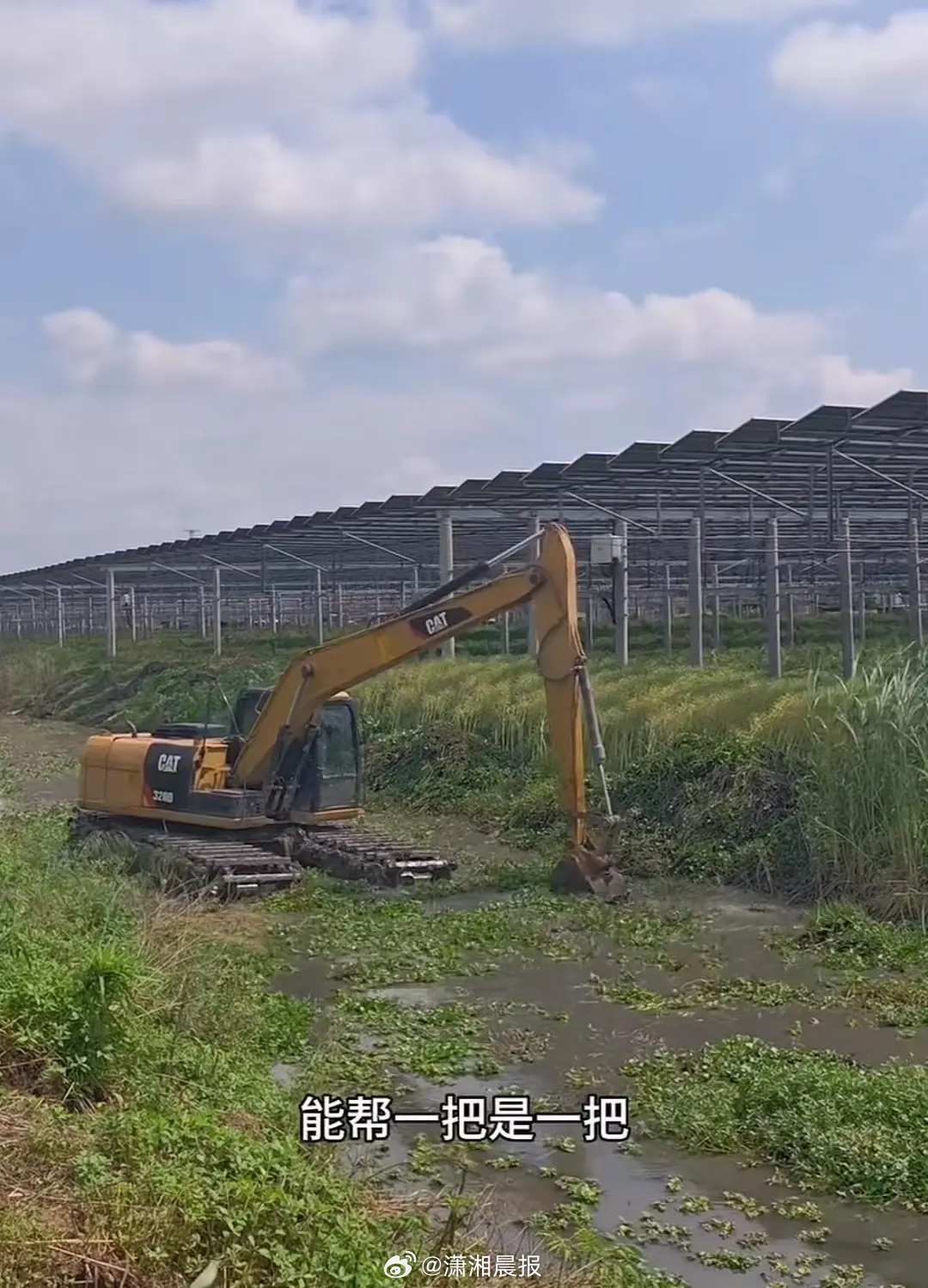 【#大叔清理沟渠杂草小伙开挖机帮忙#，#小伙回应帮养鱼大叔清理沟渠#：曾帮父亲喂