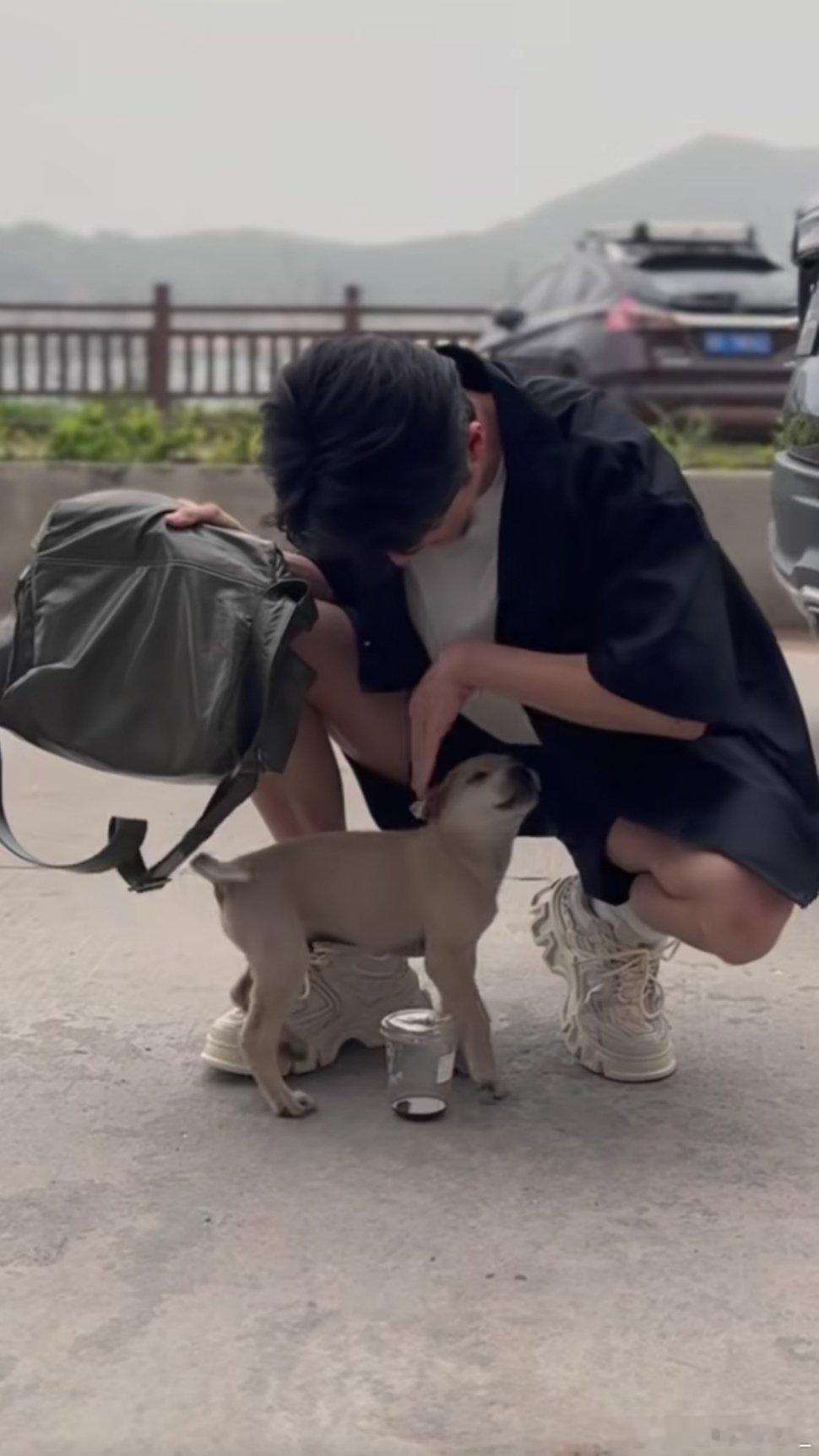 #张新成[超话]# 原来小动物也会喜欢帅哥吗！他真的看起来青春阳光，但是又有一种
