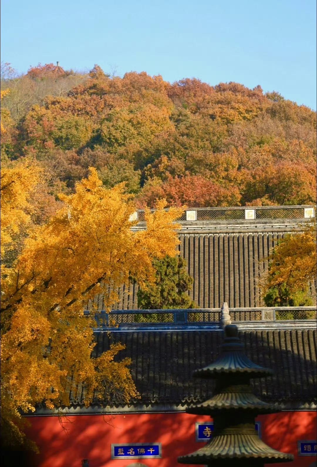 天凉好个秋
 
南国的秋，藏在山野古村之间。白墙黛瓦静立山间，枝头柿子悬着暖红，