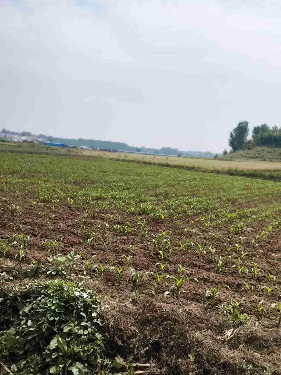 我的今日状态：😁轻松愉快
我这里的天气：🌧下雨