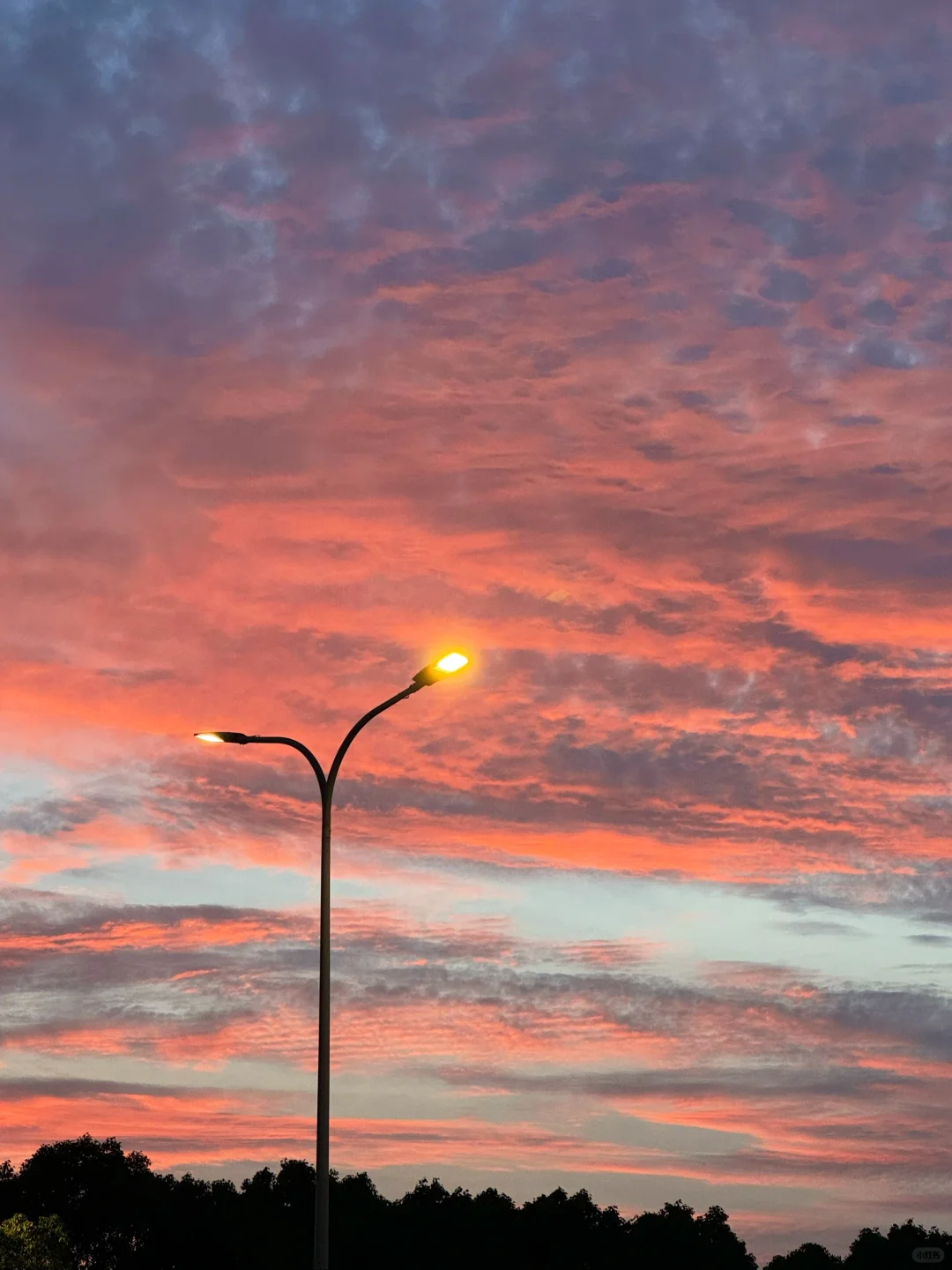 趁着今天的夕阳