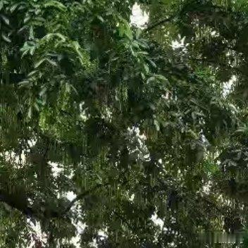 每日一善[超话] 🌞每日一善 🌞阳光信用 如果你不相信努力和时光，那么成果就