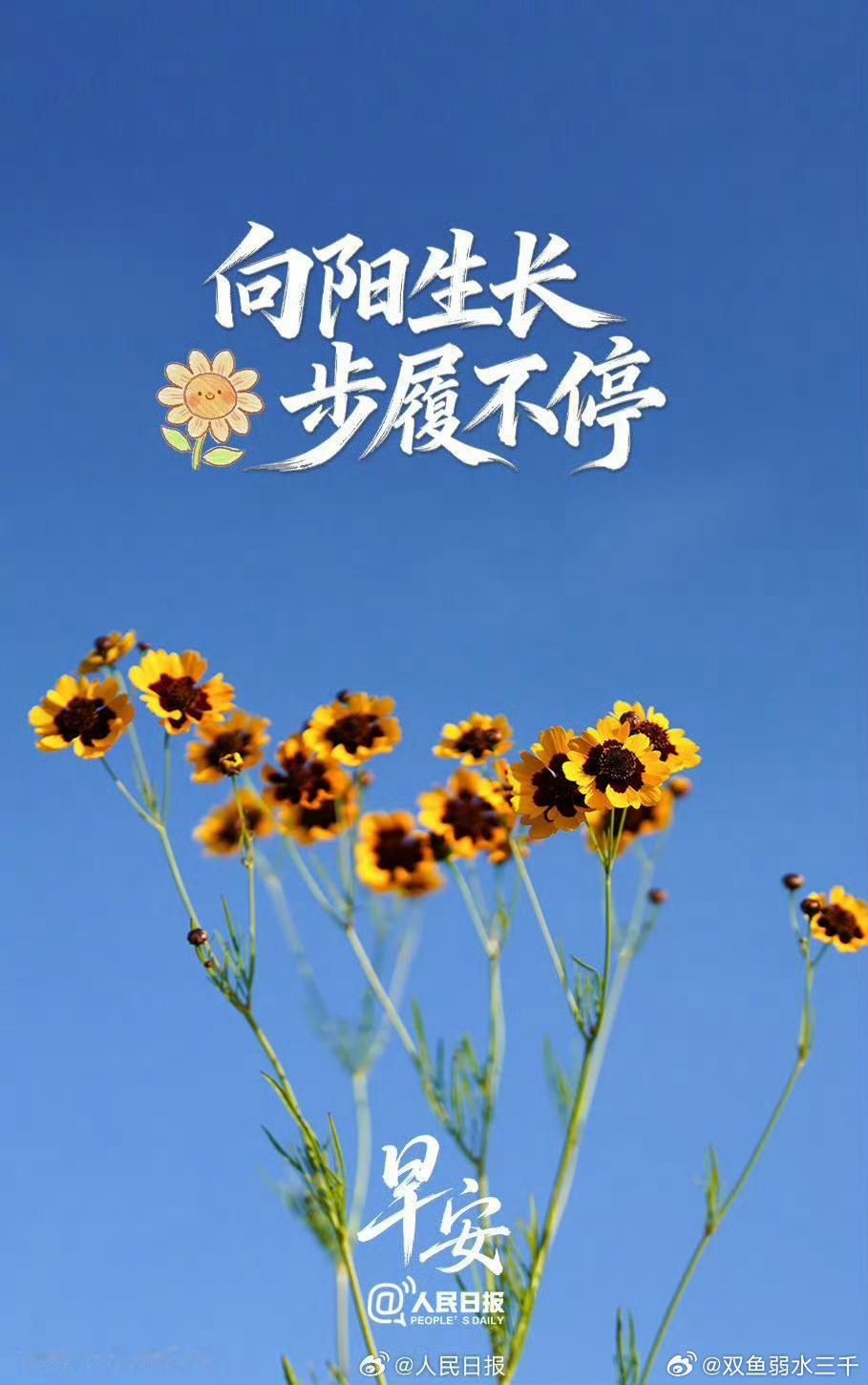 0800 早安！每天都是新的一天！加油！开心
