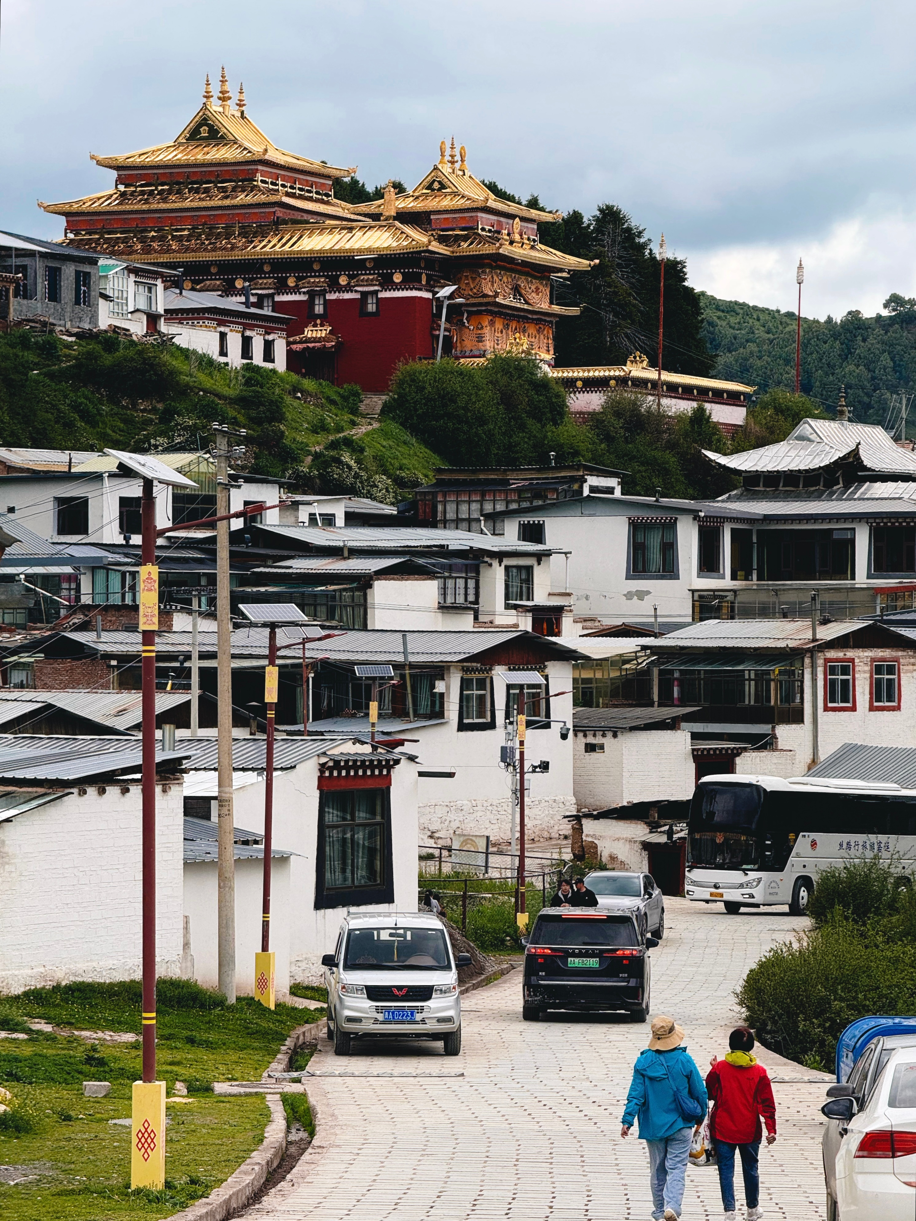 评价一下甘南，首先，这是个六边形的旅游目的地，要自然有草原湖泊湿地高山，要人文有