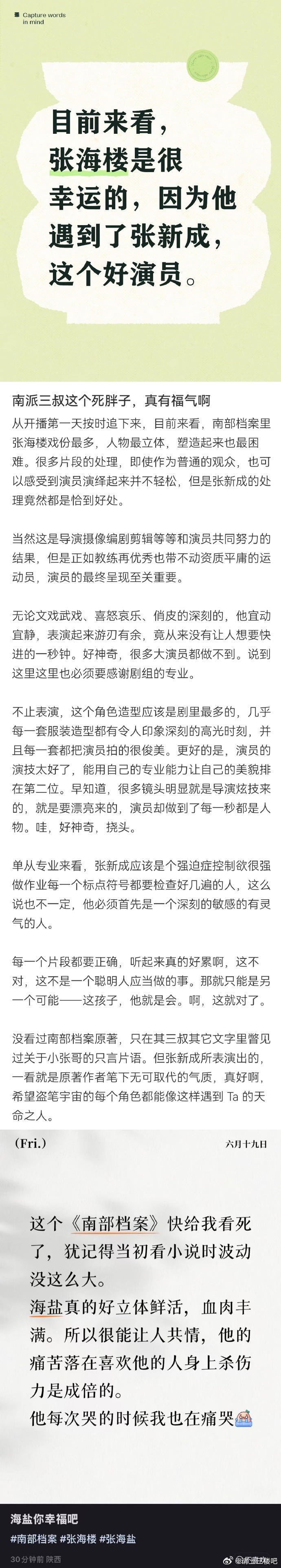 张新成南部档案口碑张新成下沉口碑南部档案你看了没 