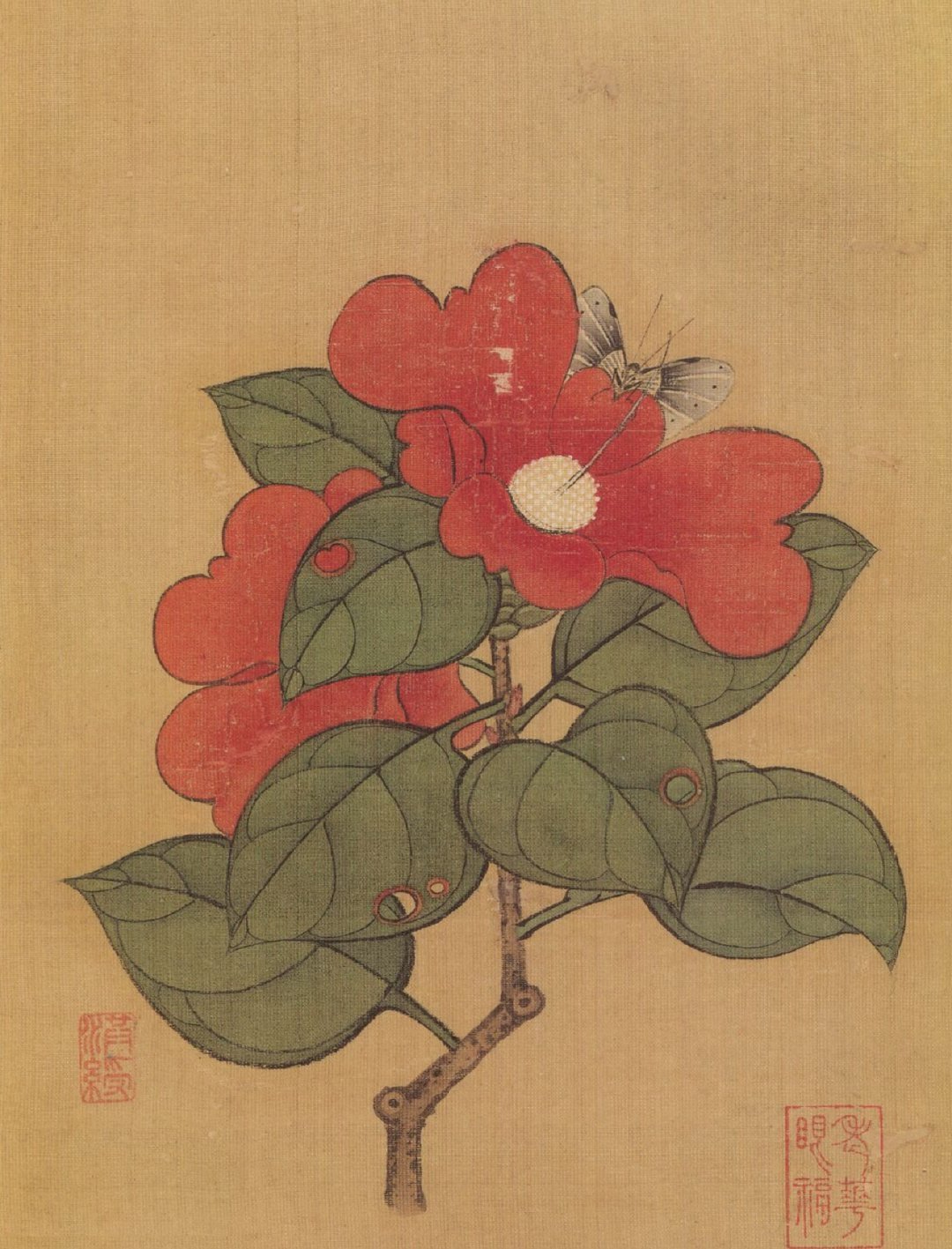 陈洪绶 · 花鸟欣赏#學書分享##书画界[超话]##书画界艺术[超话]# ​​​