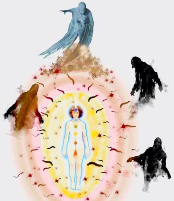 什么是能量寄生虫？能量寄生虫是一种以我们的能量为食的生物，会导致疲劳、疼痛和疾病