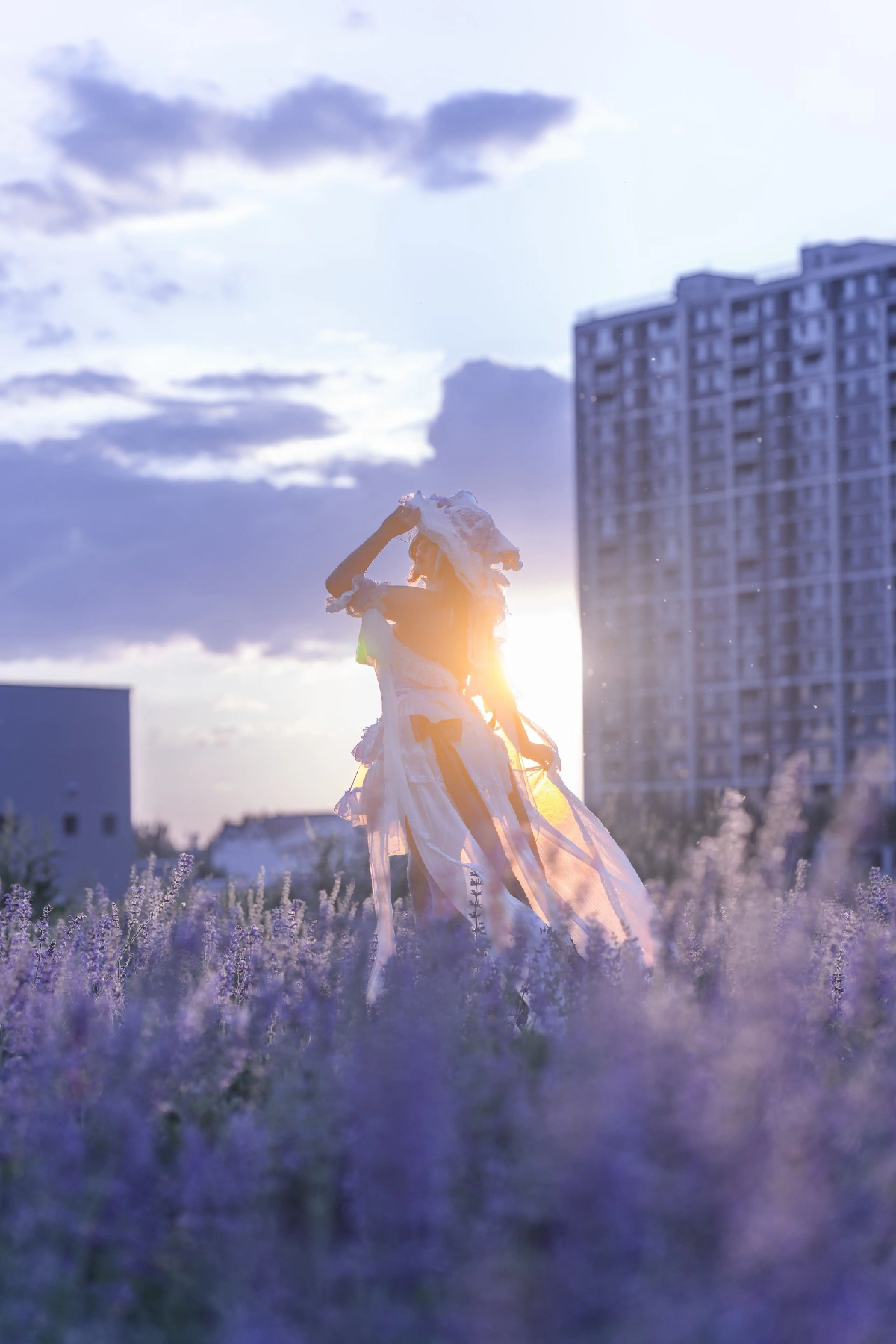 走向黄昏。