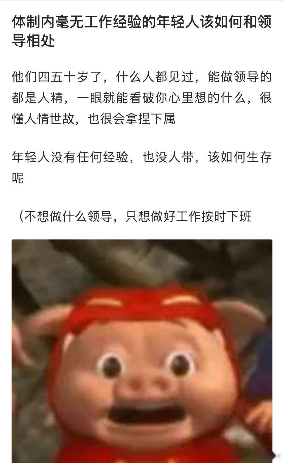 网友求助:  体制内毫无工作经验的年轻人该如何和领导相处？ ​​​