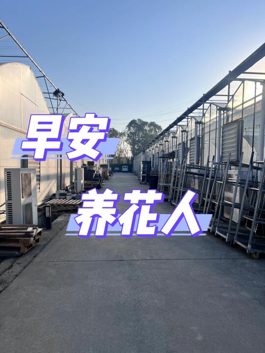 白天干活 晚上直播见